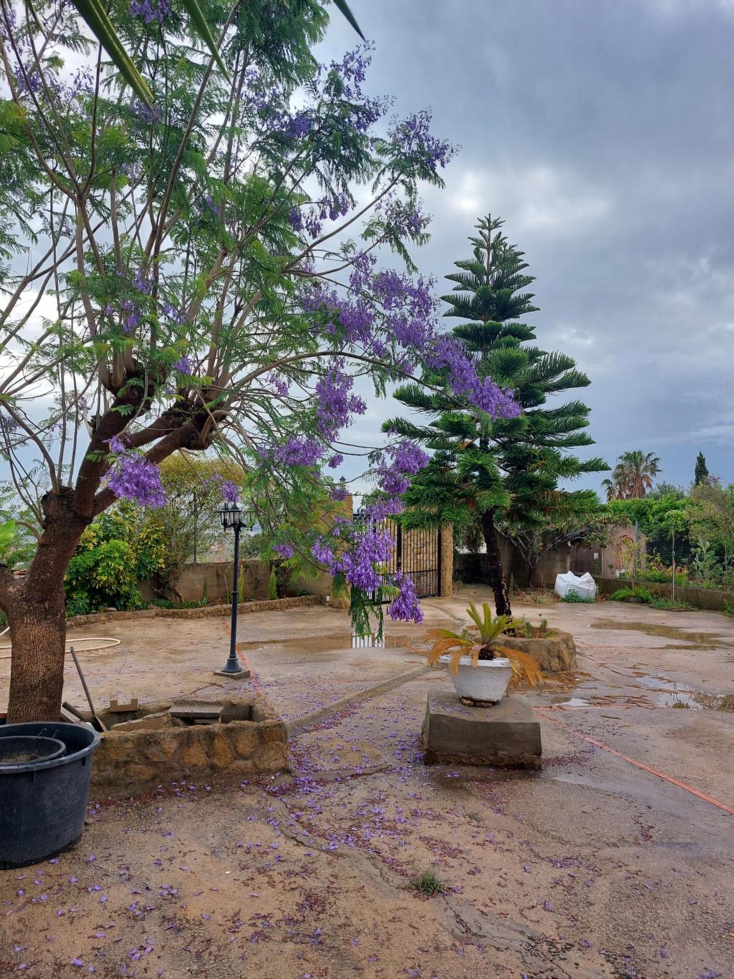 Les Berreries Villa Montroy Exterior photo